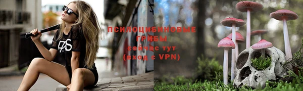 первитин Кодинск