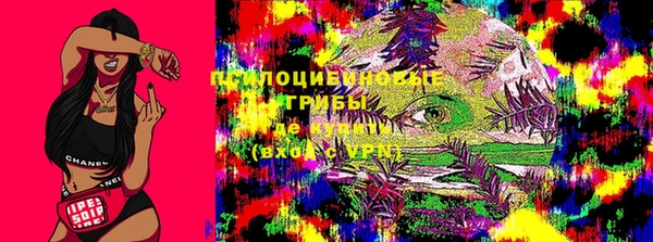 МДПВ Козловка