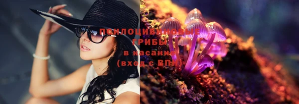 МДПВ Козловка