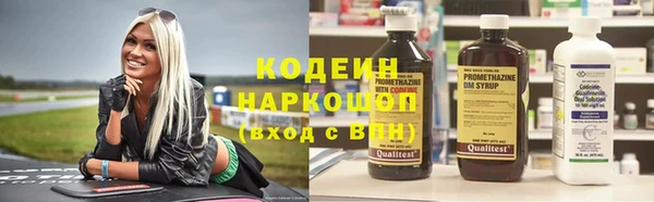 амф Козельск