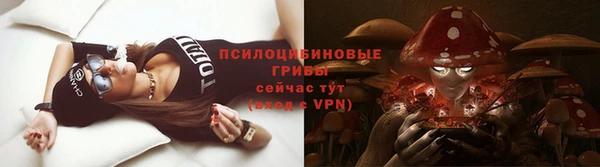 МДПВ Козловка