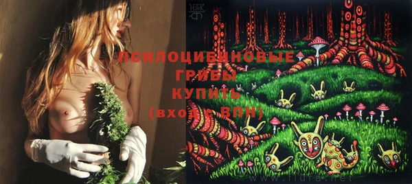 первитин Кодинск