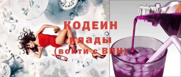 амф Козельск