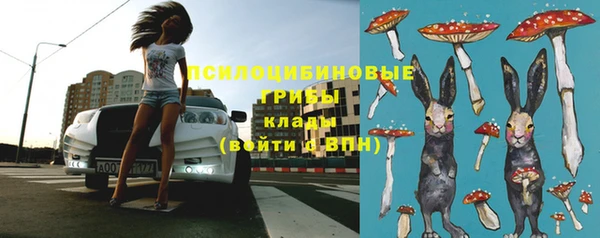 МДПВ Козловка