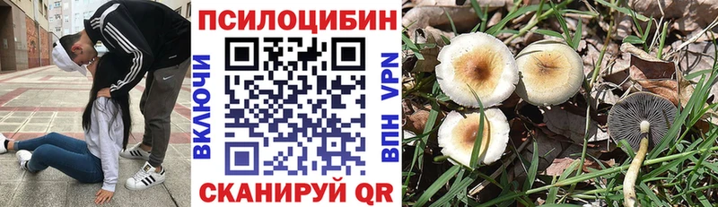 гидра вход Чебаркуль Галлюциногенные грибы мухоморы